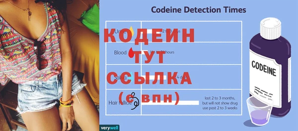дмт Богданович