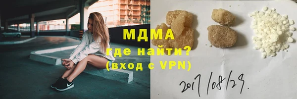 дмт Богданович