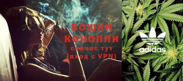 дурь Белокуриха