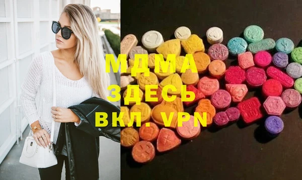 дмт Богданович
