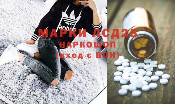 дмт Богданович