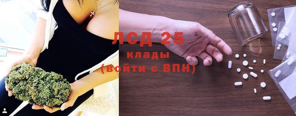 дмт Богданович
